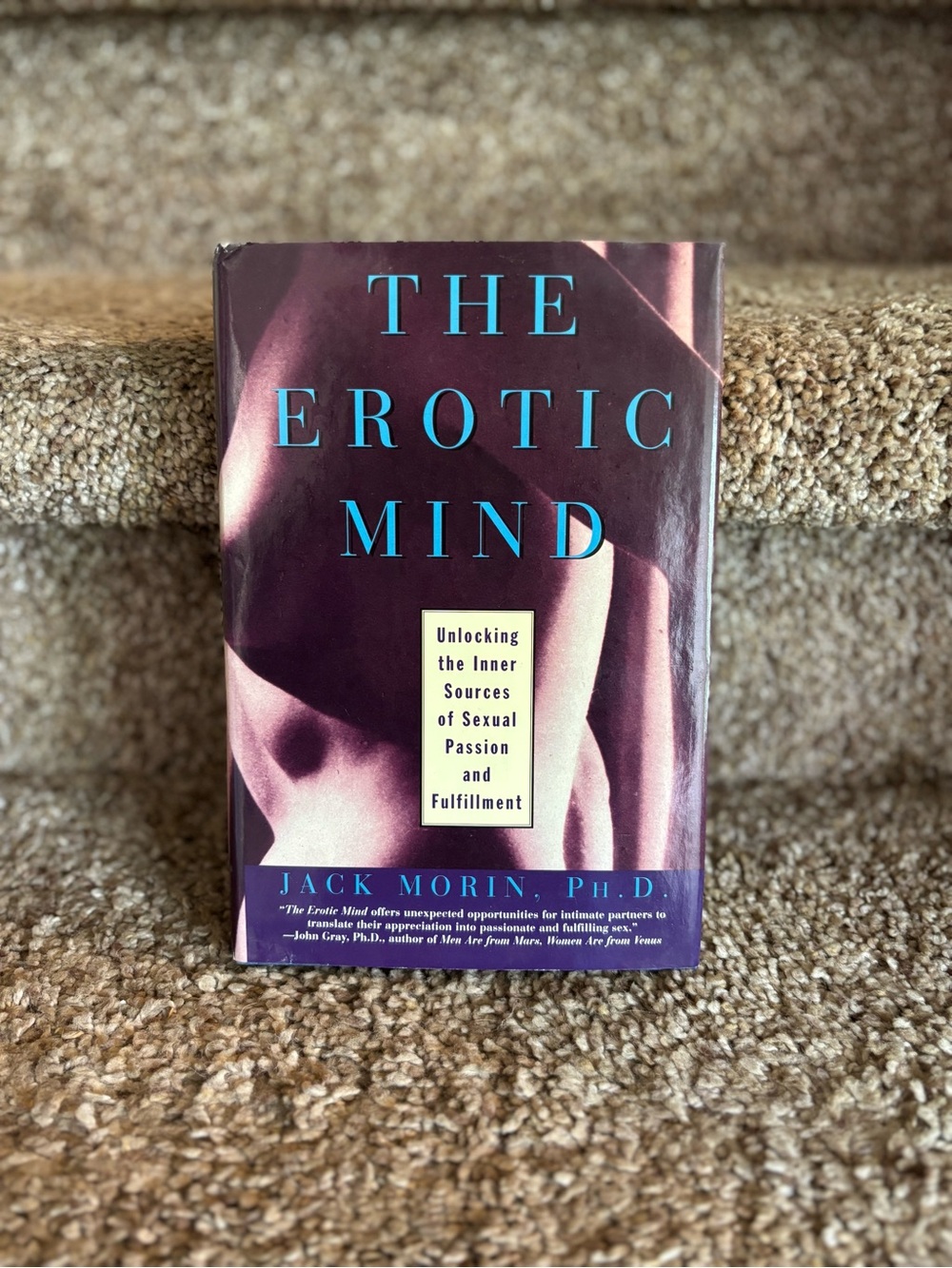 The Erotic Mind by Jack Morin - Purple Cover
